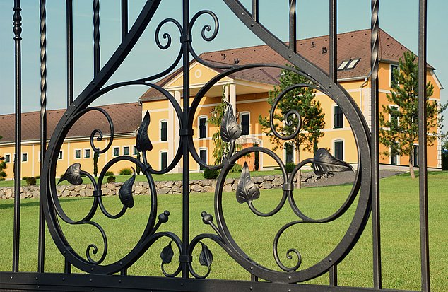 BT-Green Impression das Gartentor aus kunstvoll geschmiedetem Eisen gibt den Blick auf das dahinterliegende Gebäude frei